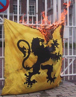 Vlaamse nationalisten vlag in de fik.