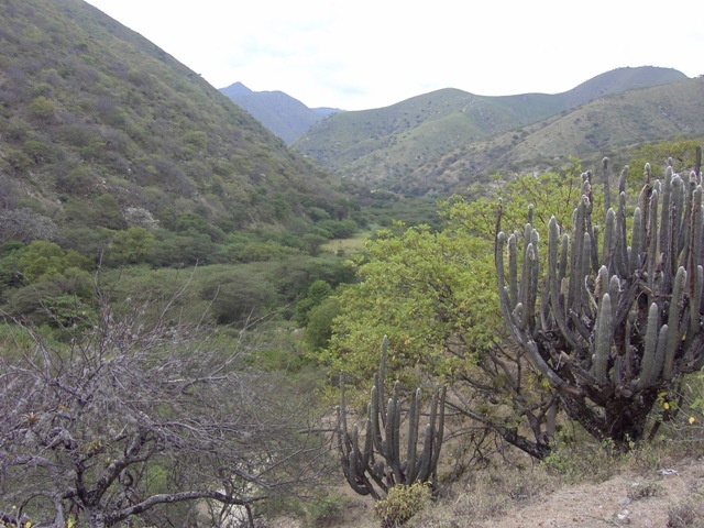 De andesgemeenschap Yanta wordt bedreigd door het Río Blanco mijnbouwproject.