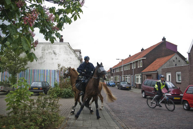 The police couldn't control their horses even when no one was around