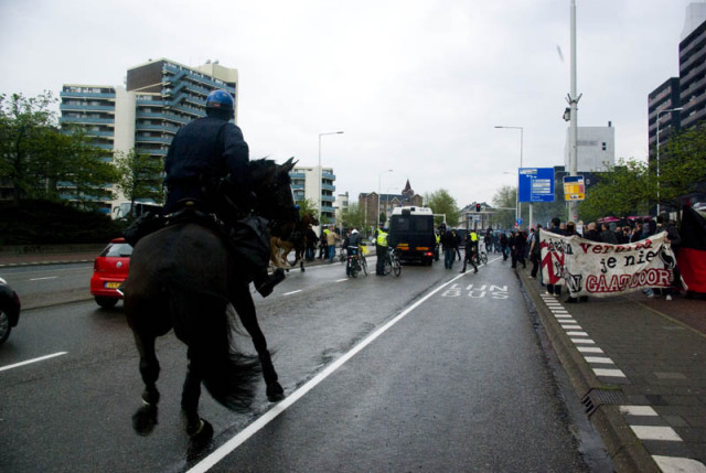 A police horse out of control, right before sending a bicyclist to the hospital