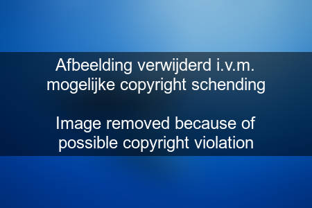 Tuimelaars in het wild. Foto © Eric Cheng echeng.com