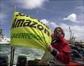 Greenpeace Amerika vestigt de aandacht op illegale houtkap in het Amazonegebied.
