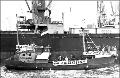 1976, haven Rotterdam: boycot Chileens fruit tegen Pinochet dictatuur