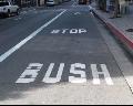 stop bush
