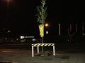 Illegaal geplante boom in Utrecht