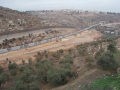 Zicht op Abu Salim's olijfgaard doorsneden door kolonisteweg en muur