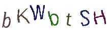 Beeld-CAPTCHA