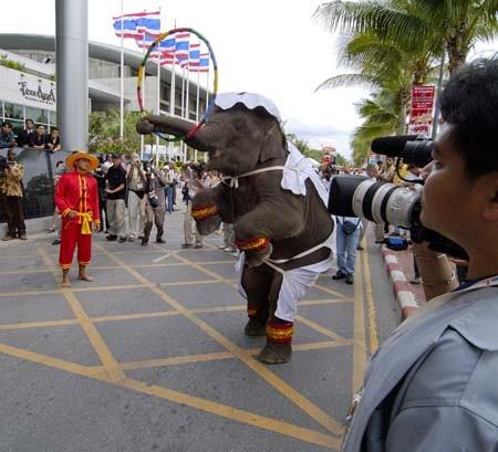 Thaise olifant in de stad als circusnummer