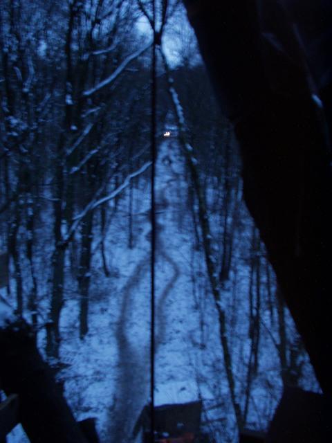 spiegelglad pad richting bos