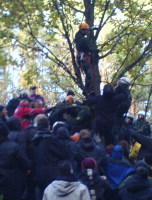 Policeman pushing people backwards out of trees.