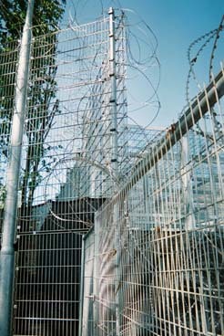 Guantanamo Kalmar, foto 4