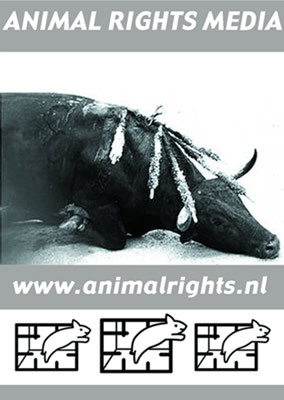 Animal Rights Media: Your Daily Animal Rights News