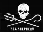 Sea Shepherd Jolly Roger