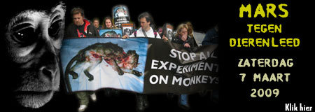 Stop de gruwelexperimenten op apen in Leuven