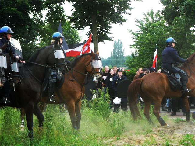 Paarden die nazi's moeten beschermen... (is dat geen dierenmishandeling?)