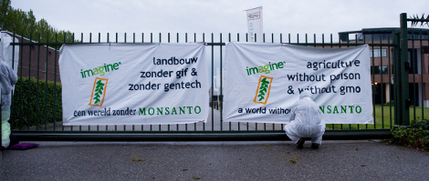 Monsanto werd geblokkeerd in Nederland. Wie volgt? Wat volgt...?