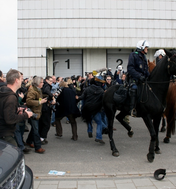 politiepaard rijd over perslui heen