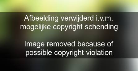 Gadhafi was evenals Saddam Hoessein geldschieter voor Joerg Haider