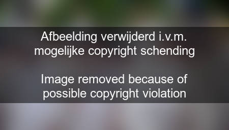 Staking (juni 2010) in de