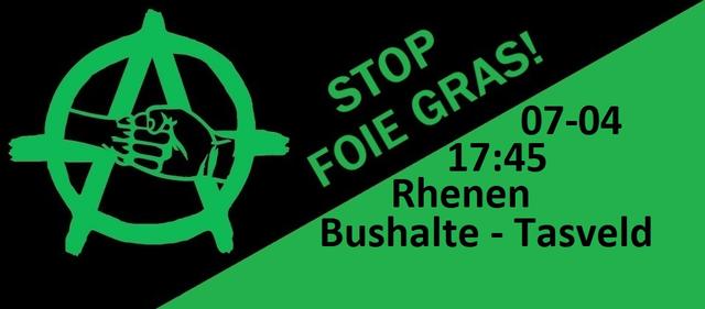 actie tegen foie gras - 17:45 verzamelen bushalte Tasveld, Rhenen