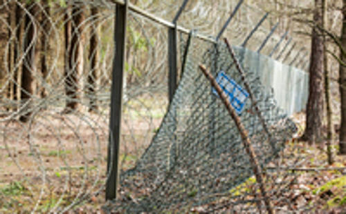 fence or no fence fence or no fence